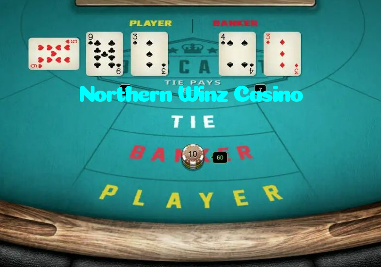 Northern Winz Casino خوش آمدید بونس +600% پیشکش موبائل ایپ کے پروموشن سیکشن میں دکھائی دیتی ہے۔
